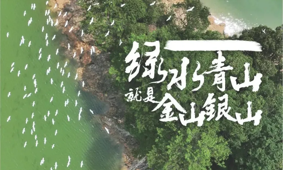 图片 图片